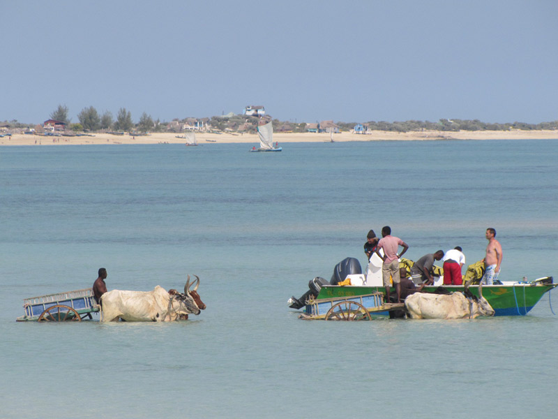 Préparation à l'école de plongée de Madagascar - Anakao