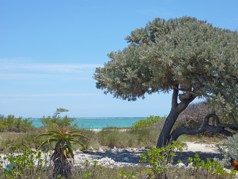 La plage de l'hôtel à Madagascar (Anakao)