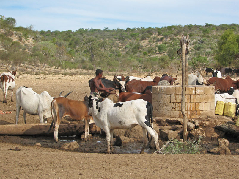 Randonnons pour rencontrer les habitants de Madagascar